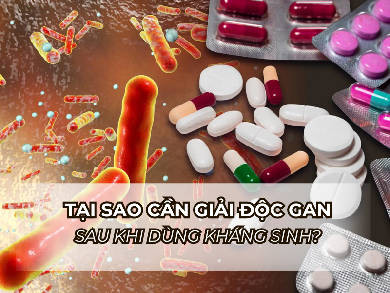 Tại sao cần giải độc gan sau khi dùng kháng sinh?