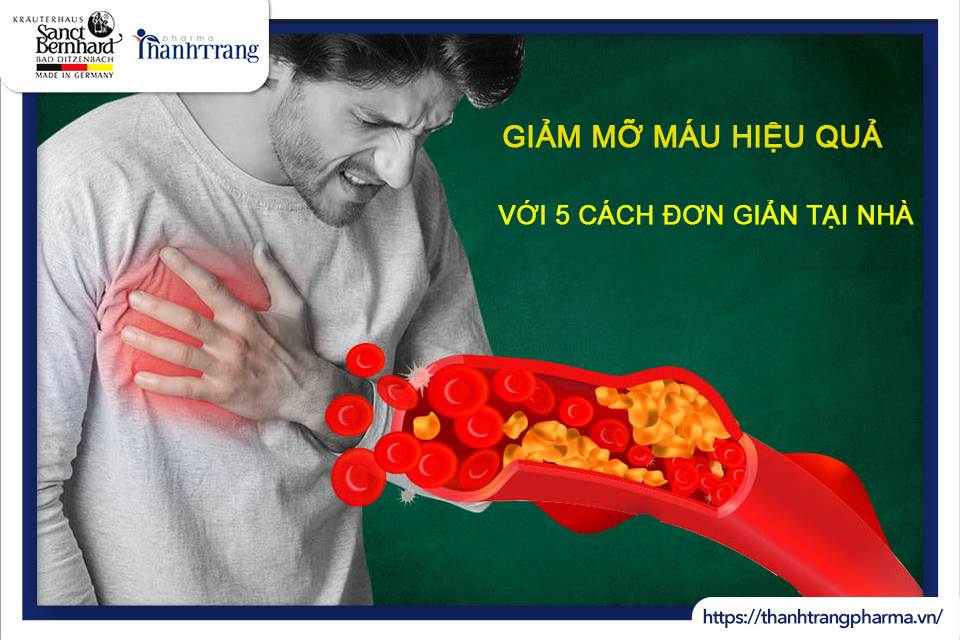 GIẢM MỠ MÁU HIỆU QUẢ VỚI 5 CÁCH ĐƠN GIẢN TẠI NHÀ