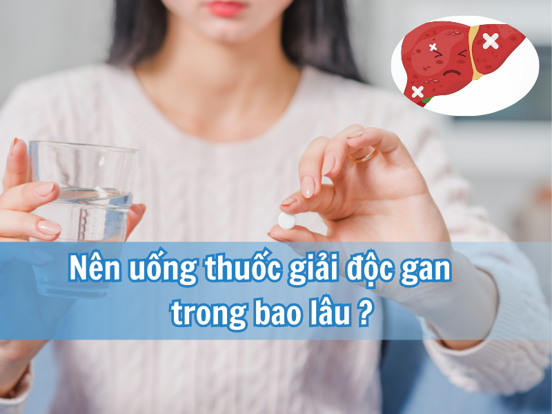 Nên Uống Thuốc Giải Độc Gan Trong Bao Lâu? - Lời cảnh tỉnh từ chuyên gia