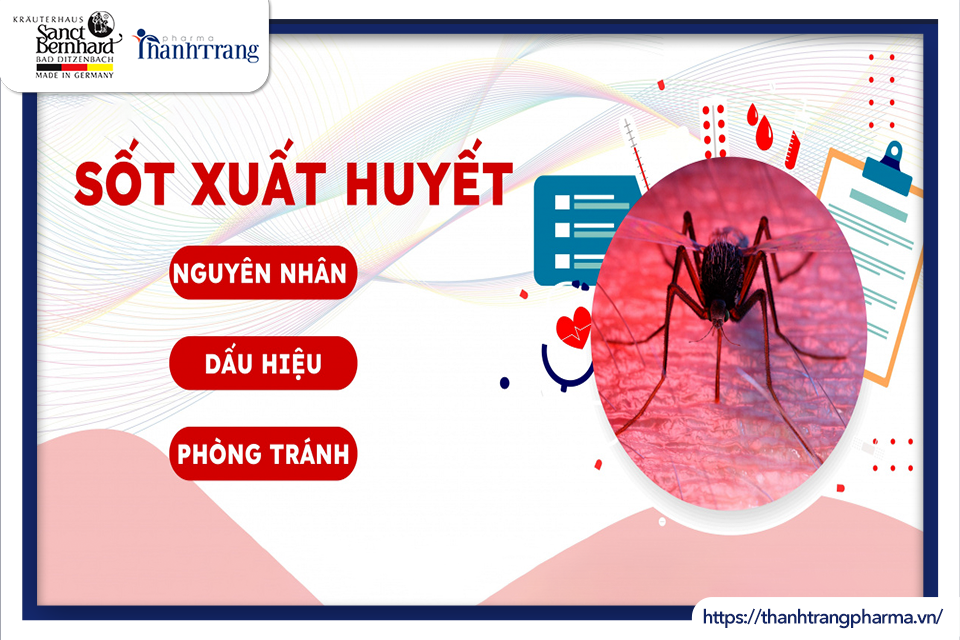 DỊCH SỐT XUẤT HUYẾT ĐANG HOÀNH HÀNH? NHẬN BIẾT NGAY CÁCH XỬ TRÍ
